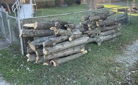 Photo of free Firewood (North Chesterfield) #1