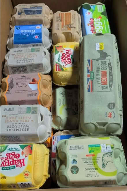 Photo of free empty egg cartons (Magham Down BN27) #1