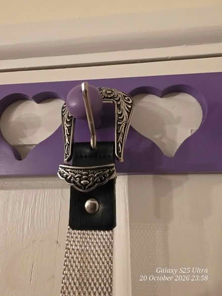 Photo of free Metal Belt (Spondon DE21) #2