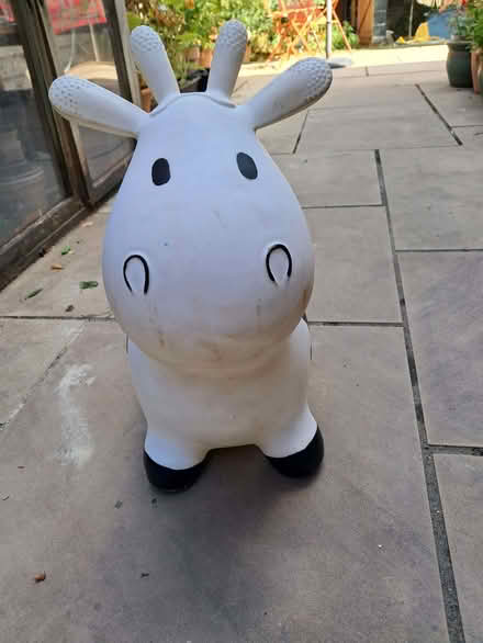 Photo of free Bouncy Cow for Toddlers (College Town GU47) #1