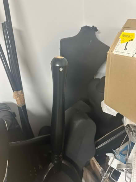 Photo of free Body form mannequins - job lot (WC1B 4JP) #3