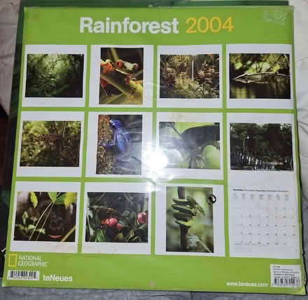 Photo of free 2 sealed old calendars from 2004 posters craft project (Low Beechburn DL15) #4