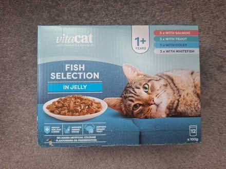 Photo of free 7 x cat food (Maidstone town center) #1