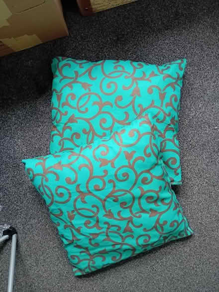 Photo of free Scatter cushions (Ivybridge PL21) #1