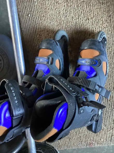 Photo of free Rollerblades (Kirkland) #1