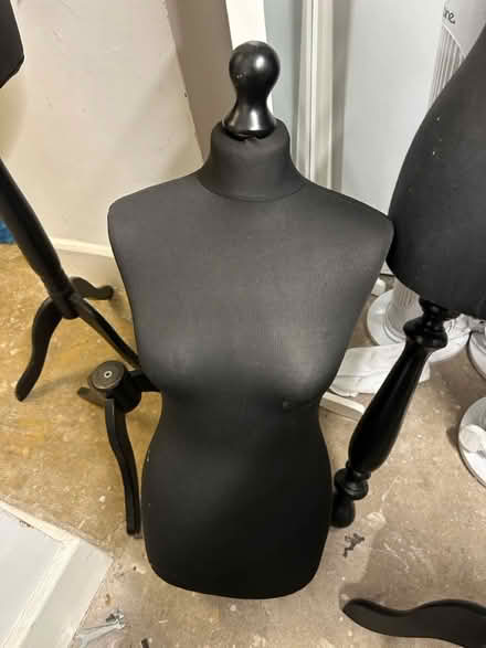 Photo of free Body form mannequins - job lot (WC1B 4JP) #4