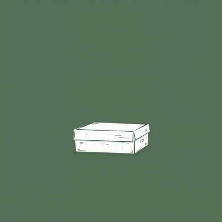 Photo of Empty shoeboxes (Egham TW20) #1