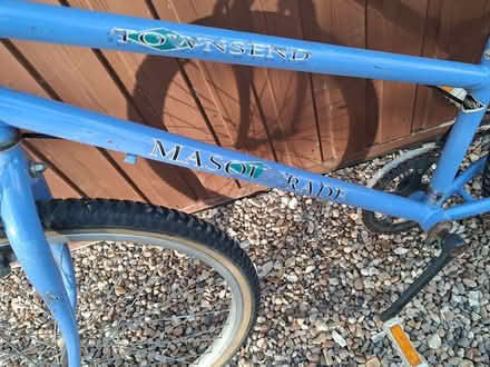 Photo of free Blue Bicycle (West Ashby LN9) #4