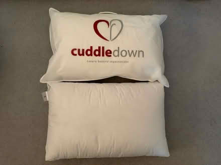Photo of free 2 pillows - brand new (Battersea, SW11) #1