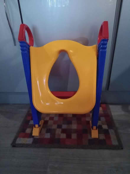 Photo of free Child's toilet seat (Fairfield Road, RH15) #1