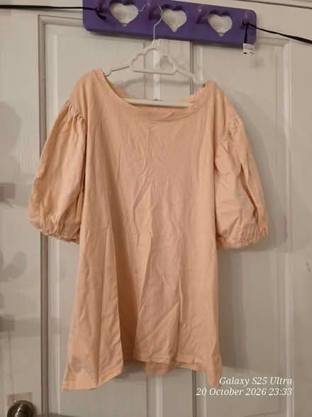 Photo of free Peach Top (Spondon DE21) #1