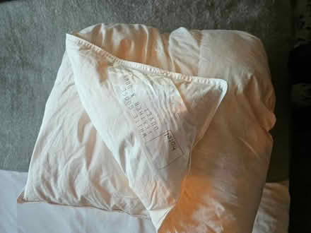 Photo of free King Size Down Duvet 10.5 tog (Warmley) #1
