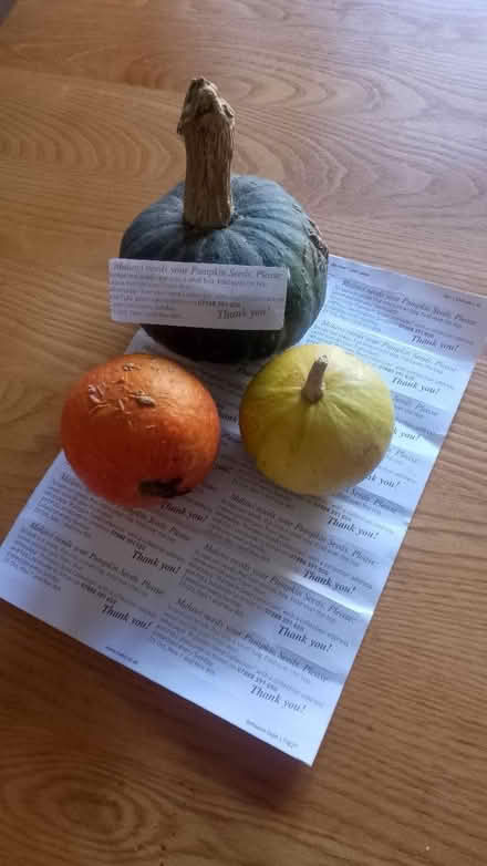 Photo of Pumpkin Seeds (Botley OX2) #1