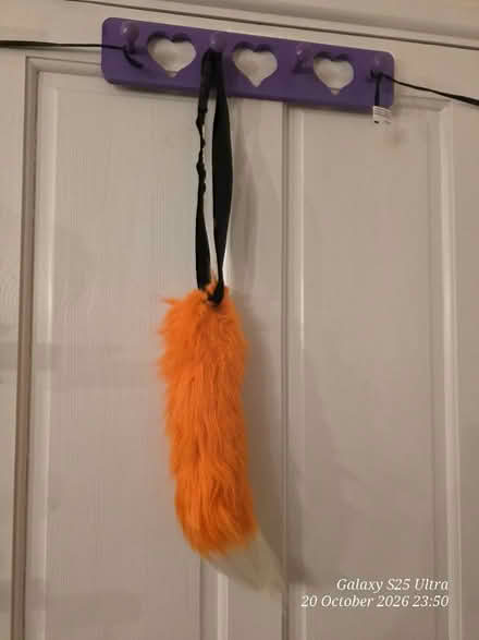 Photo of free Orange Fox Tail on a belt (Spondon DE21) #1