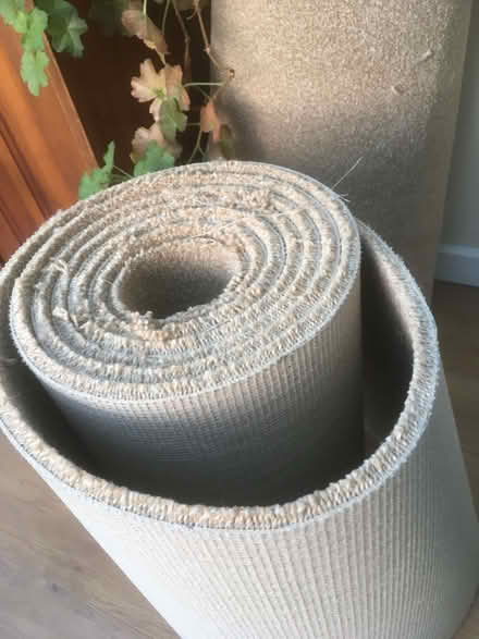 Photo of free carpet offcuts, pale beige (The Dales IP1) #1