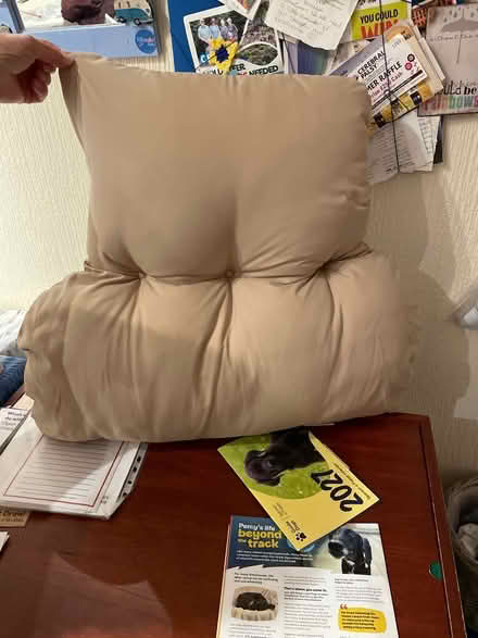Photo of free Back cushion (Barry CF63) #1