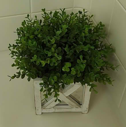 Photo of free Small fake plant (Oceanside - Melrose & Santa Fe) #1