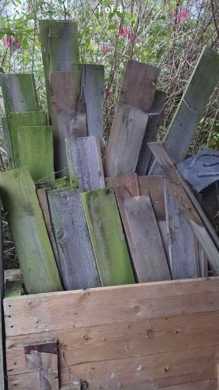 Photo of free Fence wood (Frenchay BS16) #1