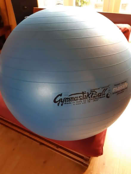 Photo of free Large gym ball (Warwick CV34) #1