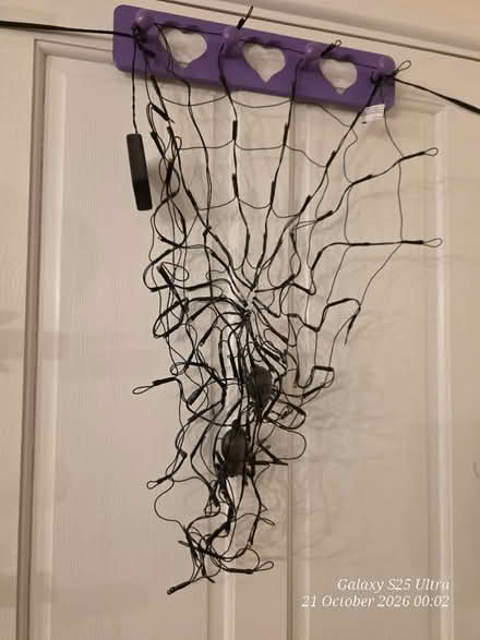 Photo of free Spider Web Fairy Lights (Spondon DE21) #1
