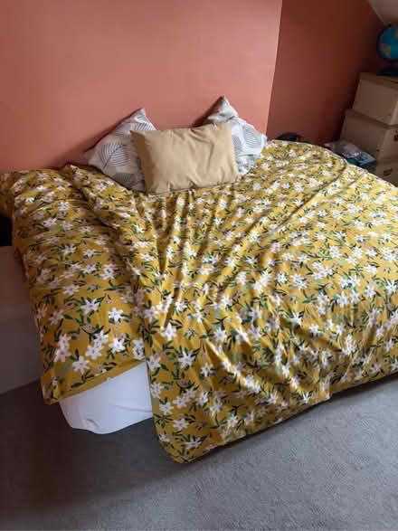 Photo of free Sofa Bed (Exmouth EX8) #2