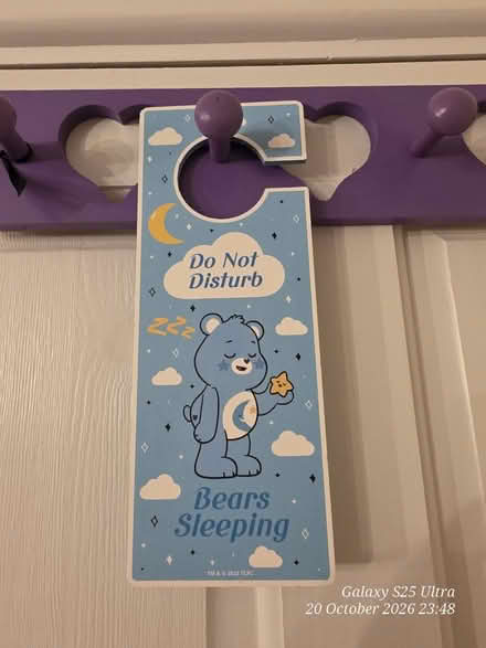 Photo of free Blue CareBears Door Hanger (Spondon DE21) #1