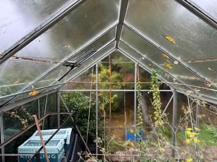 Photo of free Greenhouse (Banstead) #3