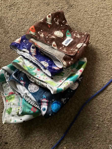 Photo of free Dog nappies (Kirkham PR4) #1