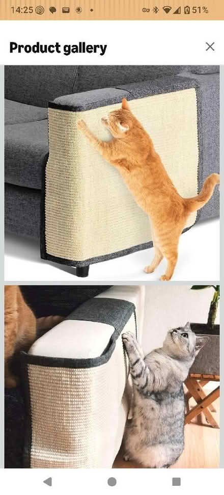 Photo of free Cat scratch mat sofa shield (Llanfyllin SY22) #1