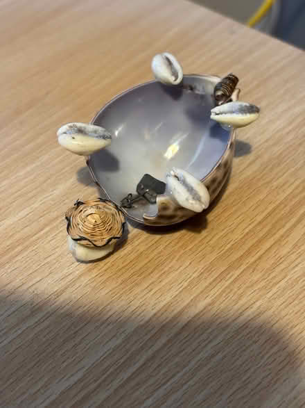 Photo of free Vintage SeaShell Shakey Head Turtle (Ashford, Surrey TW15) #2