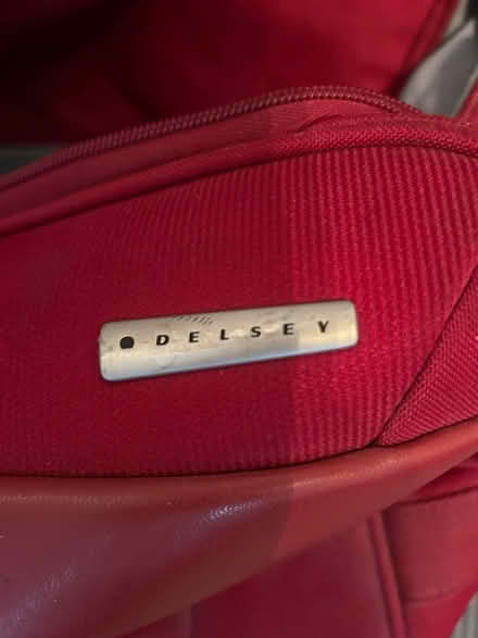 Photo of free Delsey Hold-all luggage (Shenfield CM15) #2