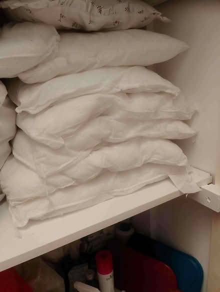 Photo of free cushion pads - no covers (Billericay CM4) #1