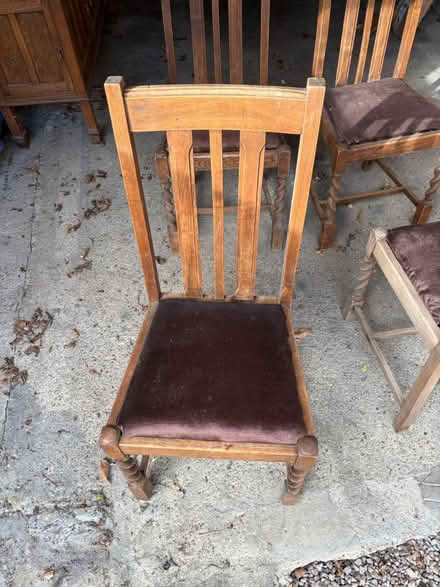 Photo of free Wooden chairs with velour seat pads (West Wickham BR4) #3