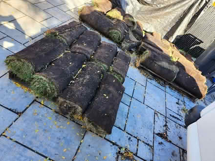 Photo of free Sod about 25 rolls (Wellington Village) #1