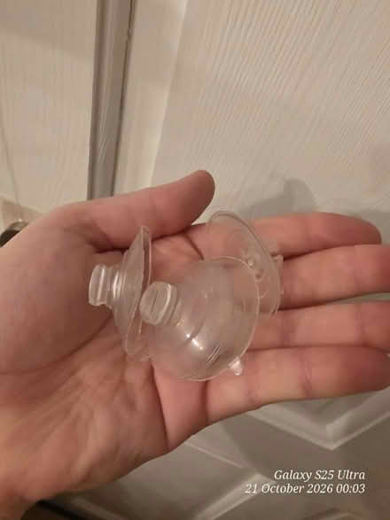 Photo of free Spider Web Fairy Lights (Spondon DE21) #2
