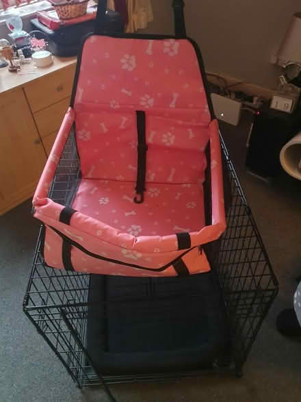 Photo of free Dog car seat (St Annes FY8) #1