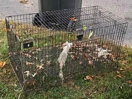 Photo of free Pet cage (Bergenfield) #1