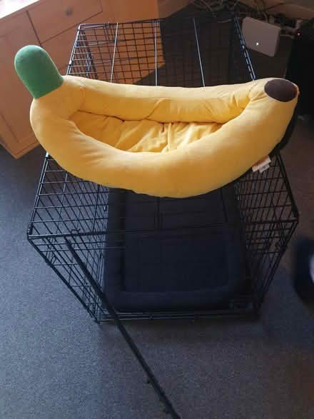Photo of free Dog bed (St Annes FY8) #1