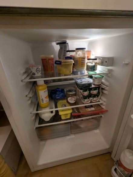 Photo of free Bosch Fridge (Mytchett GU16) #3