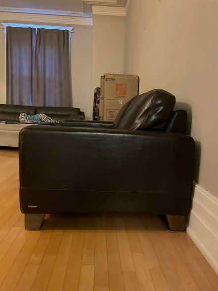 Photo of free Natuzzi Brown couch (Centretown) #2