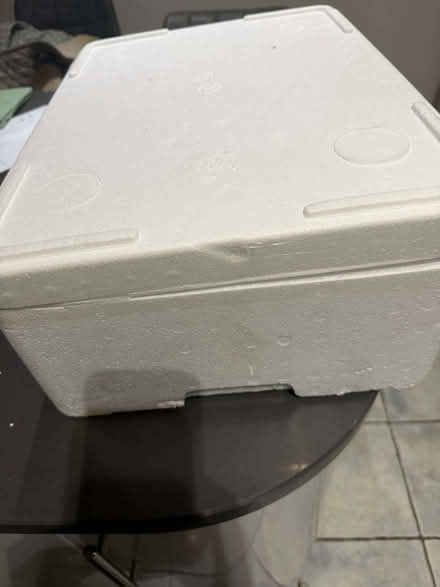 Photo of free Polystyrene food cool box (Llandrindod LD1) #2