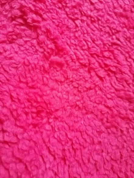 Photo of free 2 x. Red fluffy bags (Presteigne LD8) #2