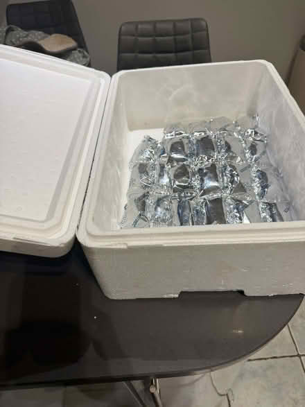 Photo of free Polystyrene food cool box (Llandrindod LD1) #1