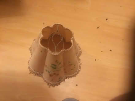 Photo of free Vintage light shade (B62 near Blackheath) #2
