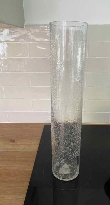 Photo of free Tall slim vase (Three Fields Farm HP3) #1