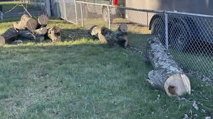 Photo of free Firewood (North Chesterfield) #2