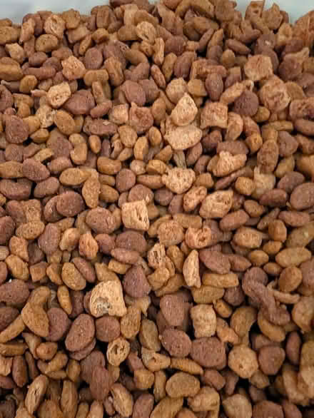 Photo of free Dry cat food (Souderton) #2