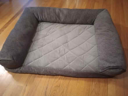 Photo of free Dog Bed & Costume accessories (55th & Main) #1