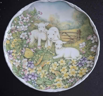 Photo of free Royal Albert 1991 plate collection (oldham OL9) #1