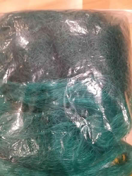 Photo of free Green netting (Penwortham PR1) #1